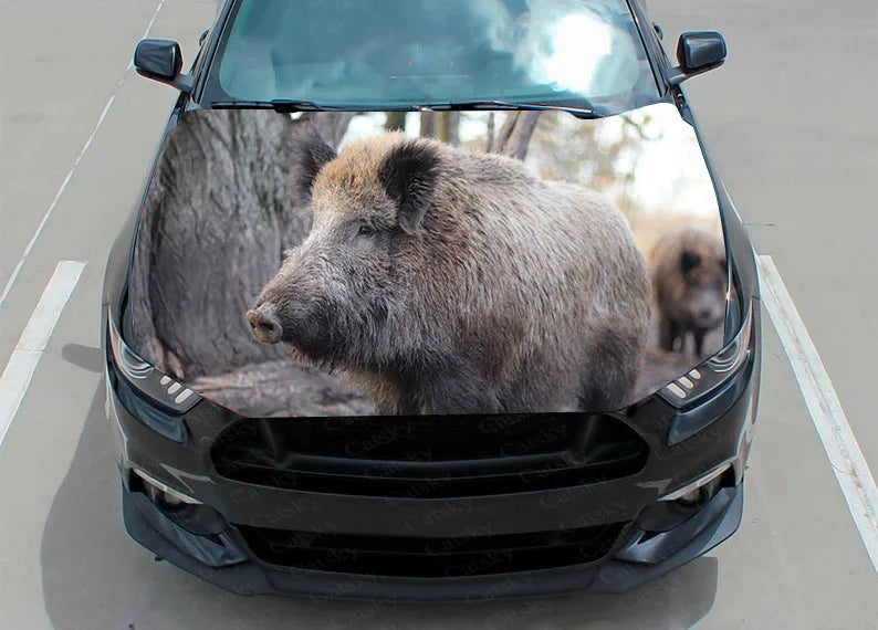 Animals Wild Boar Cute Funny Pigs Car Hood Vinyl Stickers Wrap Vinyl Film Engine Cover Decals Sticker on Car Auto Accessories